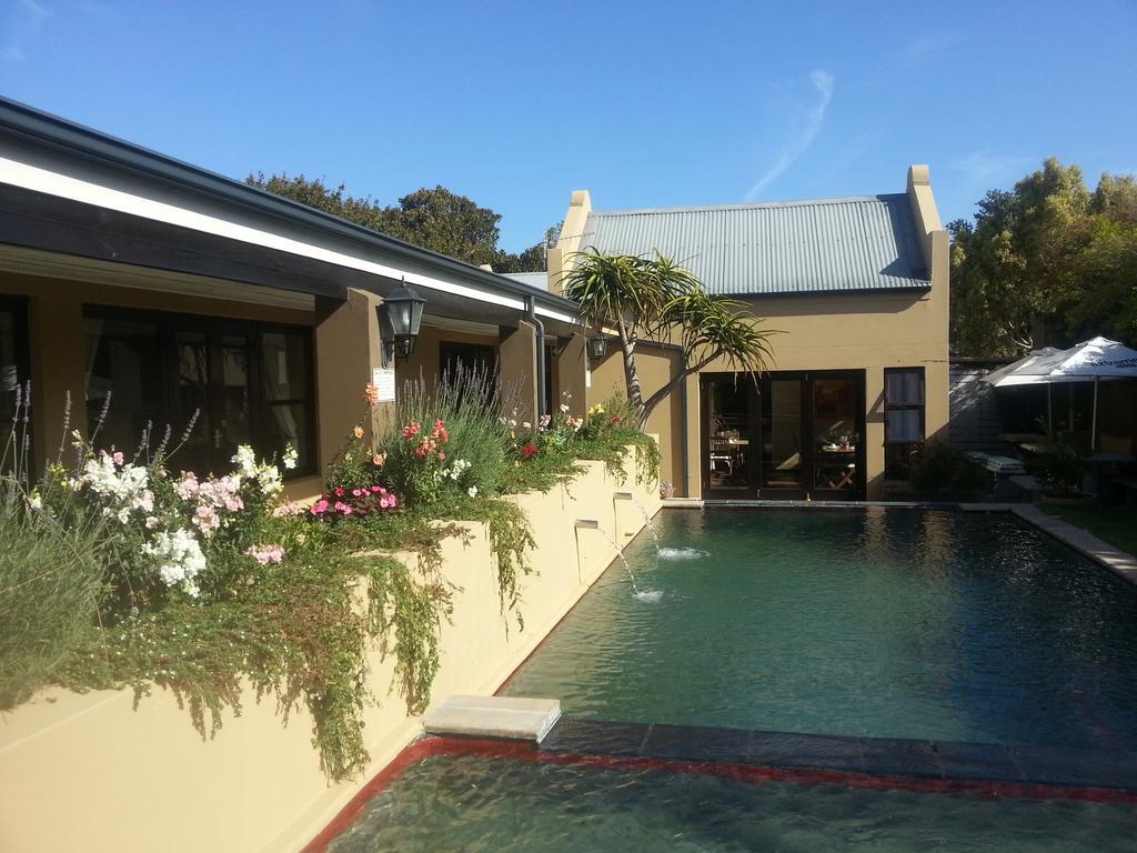 Aloe Guest House Hermanus Exteriör bild