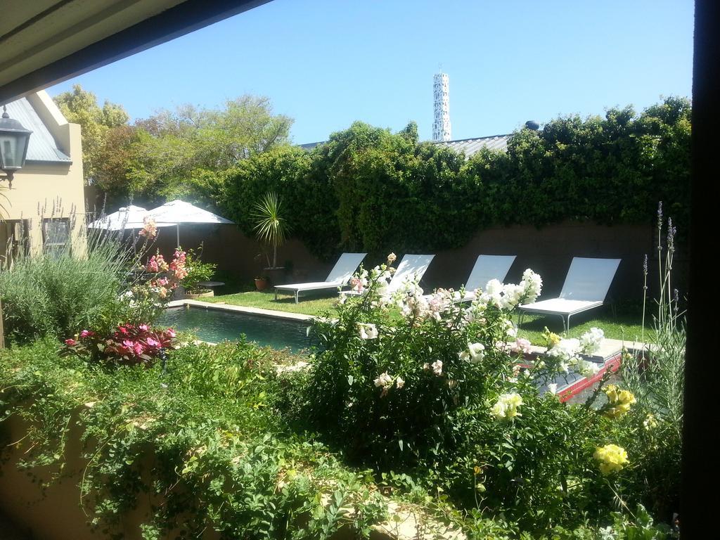 Aloe Guest House Hermanus Exteriör bild